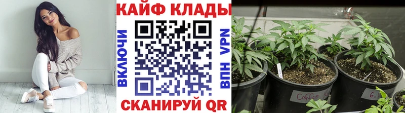Купить ГАШИШ  A PVP  Меф  Бошки Шишки  Жигулёвск