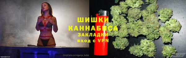 шишки Киренск