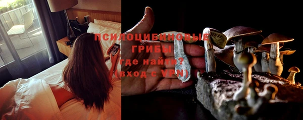 шишки Киренск