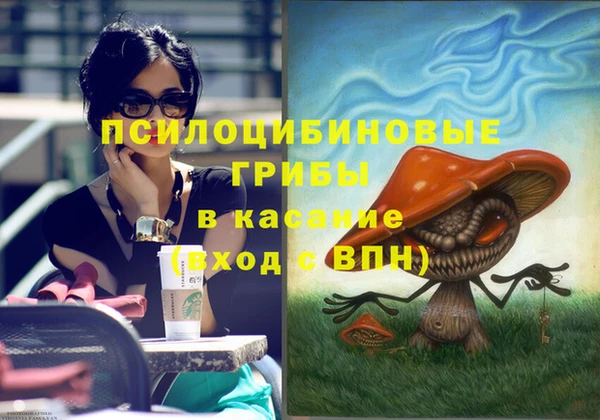дмт Киреевск