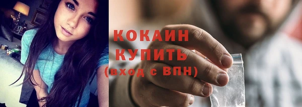 шишки Киренск