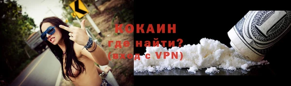 шишки Киренск