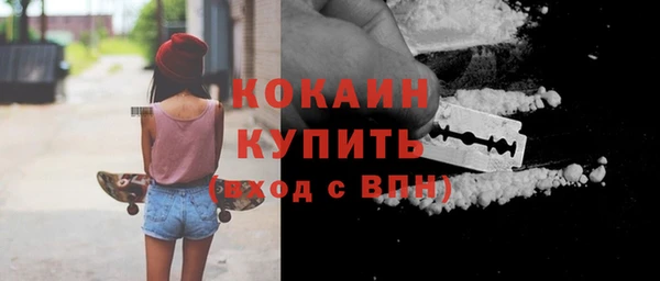 шишки Киренск