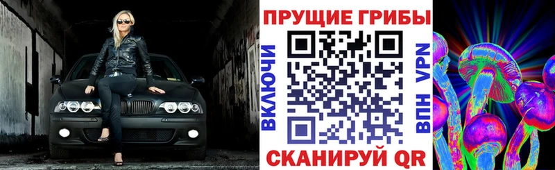 Купить где  Жигулёвск  Псилоцибиновые грибы GOLDEN TEACHER 